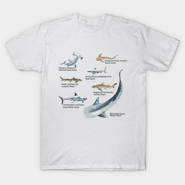 Sharks Galore T-Shirt by shipwrecked2020